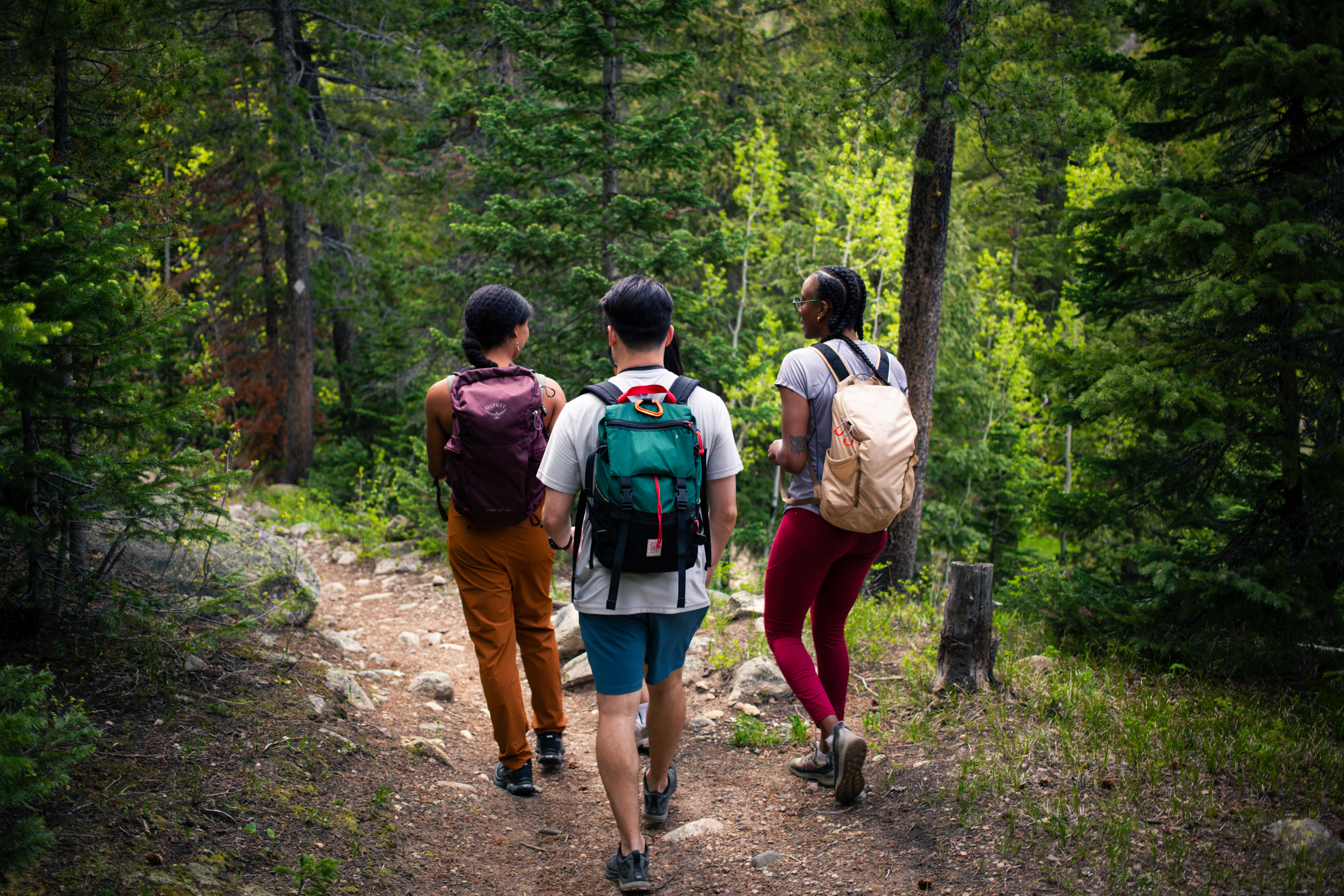 Young people hiking a forested trail